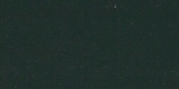 Chevrolet Liveoak Green Metallic